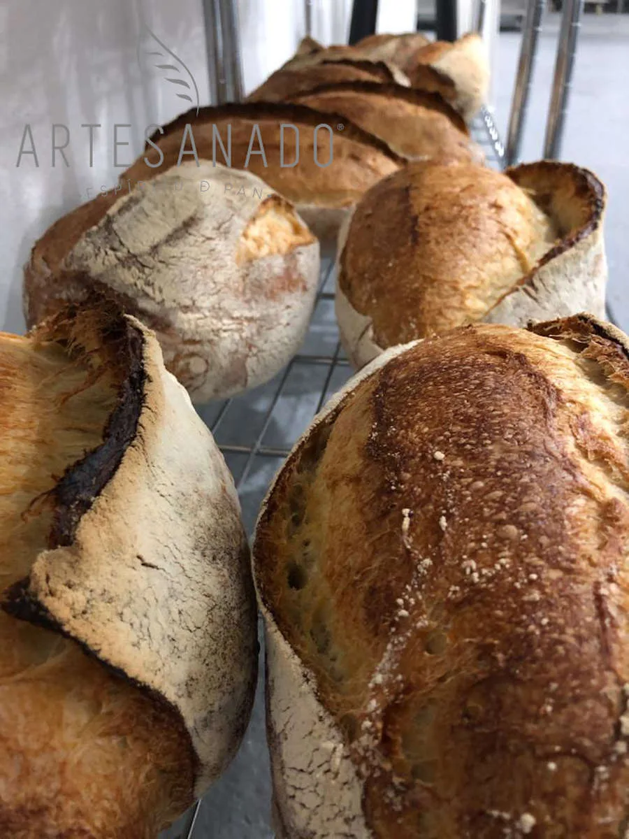 Pan Rustico 7